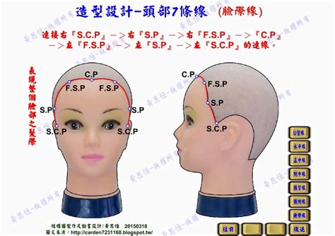 頭部七條基準線